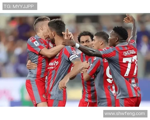 足球明星场上发声精彩瞬间回顾与分析视频合集 足球明星场上发声精彩瞬间回顾与分析视频合集