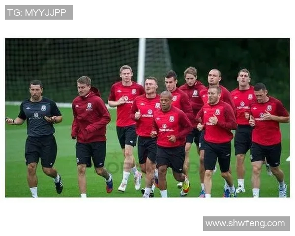 瑞典与威尔士首发阵容分析及比赛前瞻全面解读 瑞典与威尔士首发阵容分析及比赛前瞻全面解读