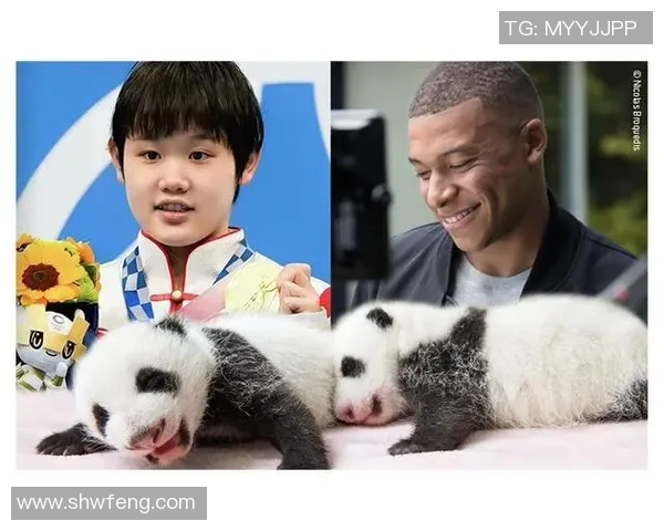 足球明星与熊猫的奇妙冒险之旅 足球明星与熊猫的奇妙冒险之旅