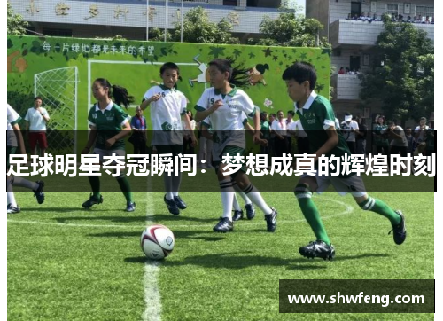 足球明星夺冠瞬间：梦想成真的辉煌时刻
