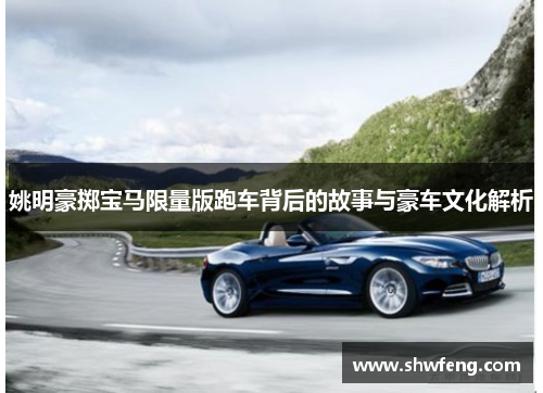 姚明豪掷宝马限量版跑车背后的故事与豪车文化解析