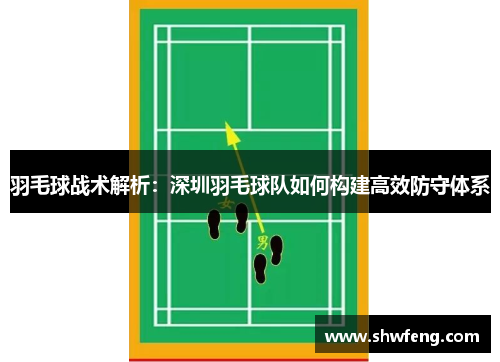 羽毛球战术解析：深圳羽毛球队如何构建高效防守体系