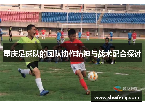 重庆足球队的团队协作精神与战术配合探讨