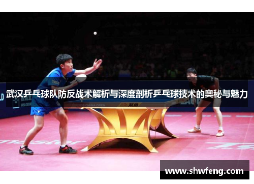武汉乒乓球队防反战术解析与深度剖析乒乓球技术的奥秘与魅力