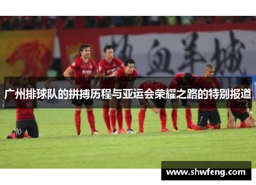 广州排球队的拼搏历程与亚运会荣耀之路的特别报道