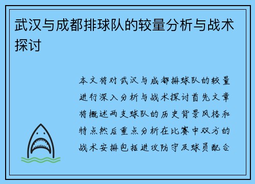 武汉与成都排球队的较量分析与战术探讨