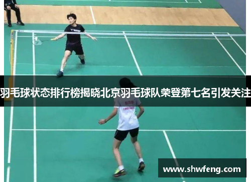 羽毛球状态排行榜揭晓北京羽毛球队荣登第七名引发关注