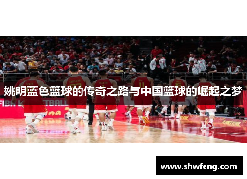 姚明蓝色篮球的传奇之路与中国篮球的崛起之梦