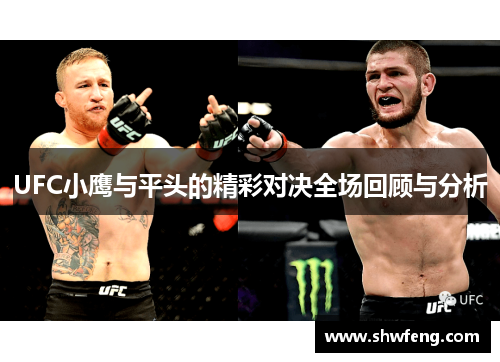 UFC小鹰与平头的精彩对决全场回顾与分析