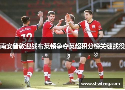 南安普敦迎战布莱顿争夺英超积分榜关键战役